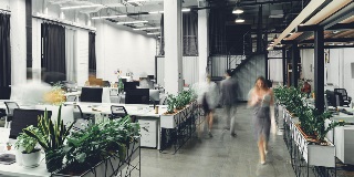 People walking through an office